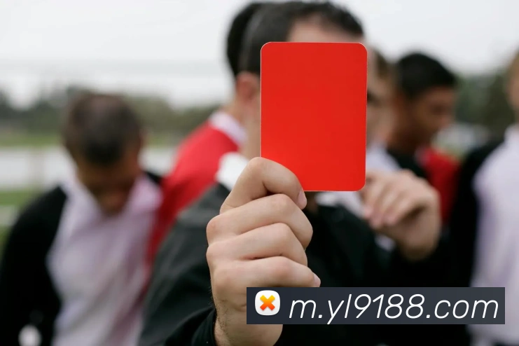 永利皇宫官网APP 封面图